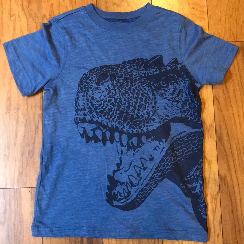 Boys Dinosaur Tee. Size 6